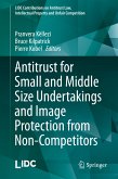 Antitrust for Small and Middle Size Undertakings and Image Protection from Non-Competitors (eBook, PDF)