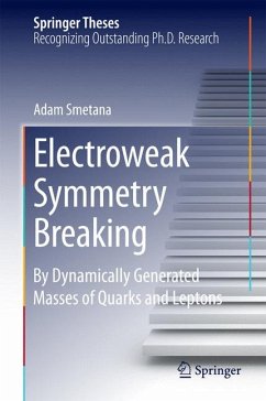 Electroweak Symmetry Breaking (eBook, PDF) - Smetana, Mgr.Adam