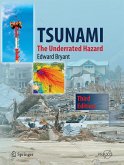 Tsunami (eBook, PDF)
