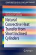 Natural Convective Heat Transfer from... - Bild 1