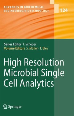 High Resolution Microbial Single Cell Analytics (eBook, PDF)