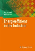 Energieeffizienz in der Industrie (eBook, PDF)