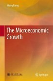 The Microeconomic Growth (eBook, PDF)