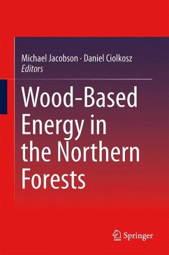 Wood-Based Energy in the Northern Forests (eBook, PDF)