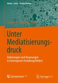 Unter Mediatisierungsdruck (eBook, PDF)