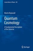 Quantum Cosmology (eBook, PDF)