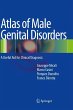 Atlas of Male Genital Disorders (eBook,... - Bild 1