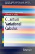 Quantum Variational Calculus (eBook,... - Bild 1