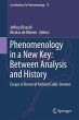 Phenomenology in a New Key: Between... - Bild 1