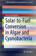 Solar-to-Fuel Conversion in Algae and... - Bild 1