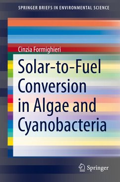 Solar-to-Fuel Conversion in Algae and Cyanobacteria (eBook, PDF) - Formighieri, Cinzia