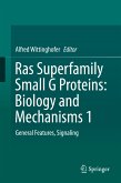 Ras Superfamily Small G Proteins: Biology and Mechanisms 1 (eBook, PDF)