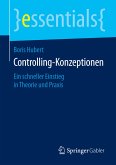 Controlling-Konzeptionen (eBook, PDF)
