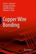 Copper Wire Bonding (eBook, PDF) - Bild 1