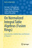 On Normalized Integral Table Algebras (Fusion Rings) (eBook, PDF)