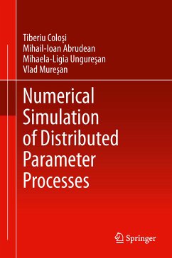 Numerical Simulation of Distributed Parameter Processes (eBook, PDF) - Colosi, Tiberiu; Abrudean, Mihail-Ioan; Unguresan, Mihaela-Ligia; Muresan, Vlad