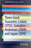 Three Great Tsunamis: Lisbon (1755), Sumatra-Andaman (2004) and Japan (2011) (eBook, PDF)