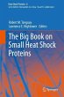 The Big Book on Small Heat Shock... - Bild 1