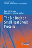 The Big Book on Small Heat Shock Proteins (eBook, PDF)