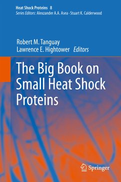The Big Book on Small Heat Shock Proteins (eBook, PDF)