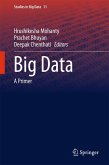 Big Data (eBook, PDF)