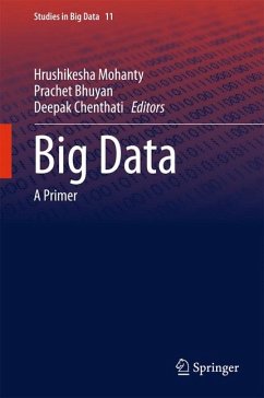 Big Data (eBook, PDF)