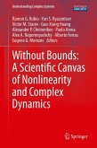 Without Bounds: A Scientific Canvas of Nonlinearity and Complex Dynamics (eBook, PDF)