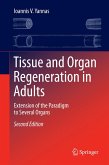 Tissue and Organ Regeneration in Adults (eBook, PDF)