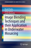 Image Blending Techniques and their Application in Underwater Mosaicing (eBook, PDF)