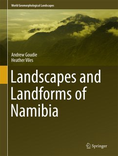 Landscapes and Landforms of Namibia (eBook, PDF) - Goudie, Andrew; Viles, Heather