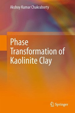 Phase Transformation of Kaolinite Clay (eBook, PDF) - Chakraborty, Akshoy Kumar