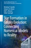 Star Formation in Galaxy Evolution: Connecting Numerical Models to Reality (eBook, PDF)