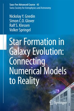 Star Formation in Galaxy Evolution: Connecting Numerical Models to Reality (eBook, PDF) - Gnedin, Nickolay Y.; Glover, Simon C. O.; Klessen, Ralf S.; Springel, Volker