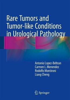 Rare Tumors and Tumor-like Conditions in Urological Pathology (eBook, PDF) - Lopez-Beltran, Antonio; Menendez, Carmen L.; Montironi, Rodolfo; Cheng, Liang