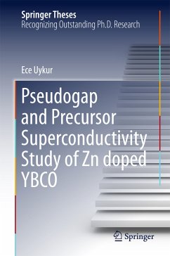 Pseudogap and Precursor Superconductivity Study of Zn doped YBCO (eBook, PDF) - Uykur, Ece