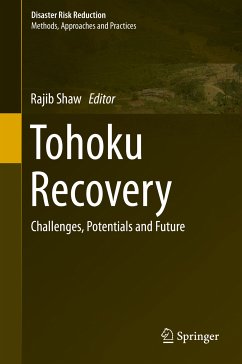 Tohoku Recovery (eBook, PDF)