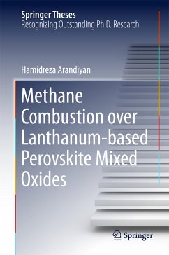 Methane Combustion over Lanthanum-based Perovskite Mixed Oxides (eBook, PDF) - Arandiyan, Hamidreza