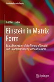 Einstein in Matrix Form (eBook, PDF)