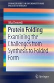 Protein Folding (eBook, PDF)