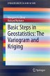 Basic Steps in Geostatistics: The... - Bild 1