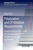Polarization and CP Violation Measurements (eBook, PDF)