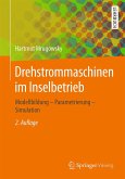 Drehstrommaschinen im Inselbetrieb (eBook, PDF)