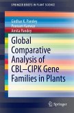 Global Comparative Analysis of CBL-CIPK Gene Families in Plants (eBook, PDF)