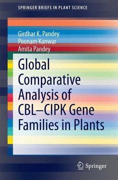 Global Comparative Analysis of CBL-CIPK Gene Families in Plants (eBook, PDF) - Pandey, Girdhar K.; Kanwar, Poonam; Pandey, Amita