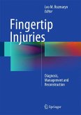 Fingertip Injuries (eBook, PDF)