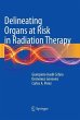 Delineating Organs at Risk in Radiation... - Bild 1