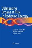 Delineating Organs at Risk in Radiation Therapy (eBook, PDF)