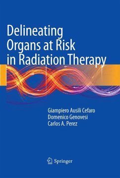 Delineating Organs at Risk in Radiation Therapy (eBook, PDF) - Ausili Cèfaro, Giampiero; Genovesi, Domenico; Perez, Carlos A.