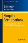 Singular Perturbations (eBook, PDF)