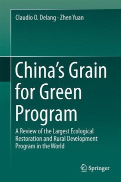 China’s Grain for Green Program (eBook, PDF) - Delang, Claudio O.; Yuan, Zhen